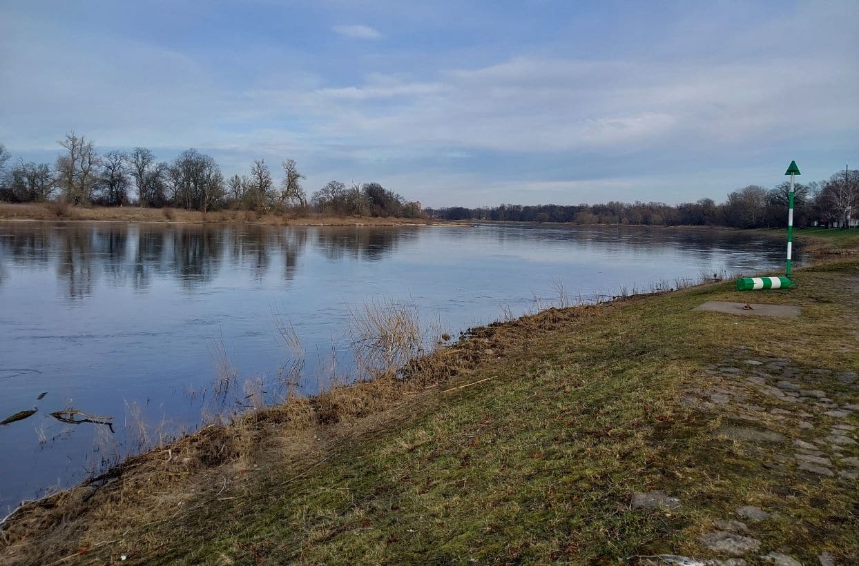 Flussufer mit Bäumen und blauem Himmel