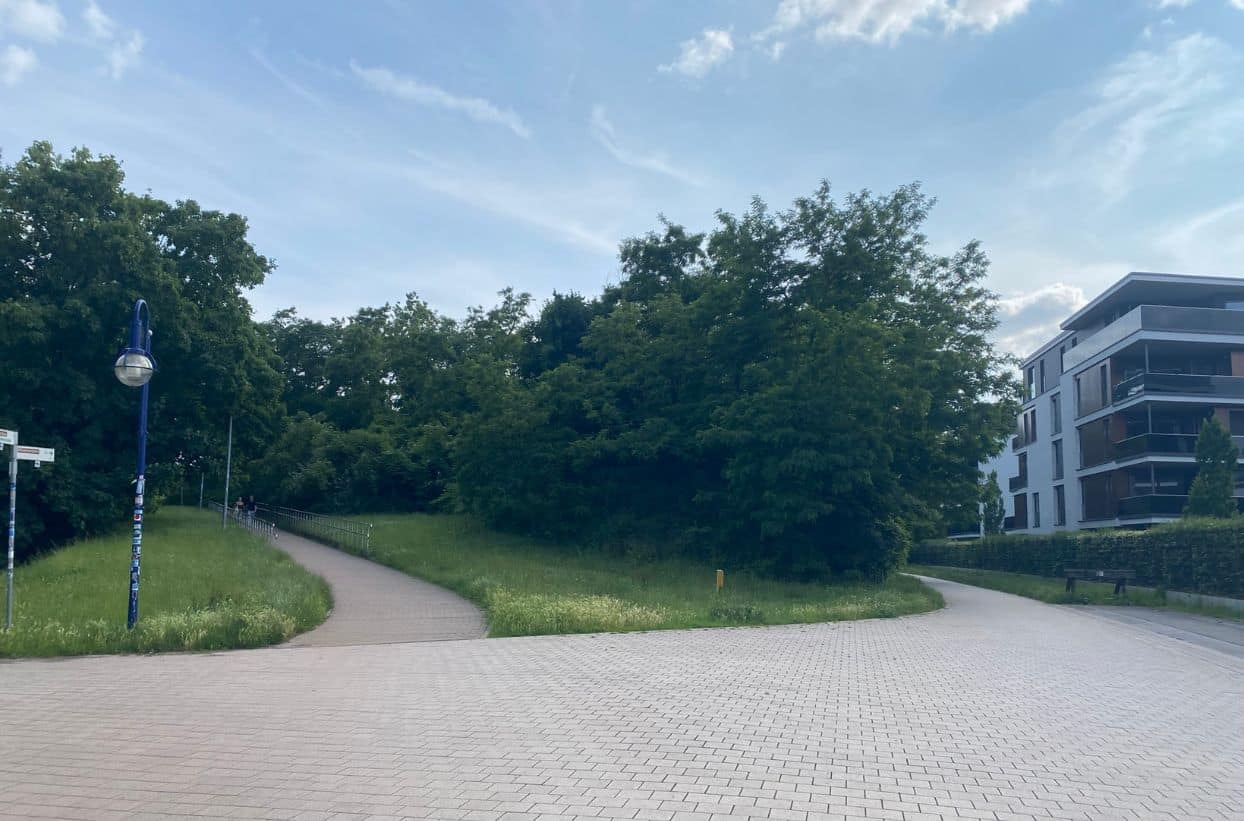 Weg zwischen Bäumen und modernen Gebäuden.
