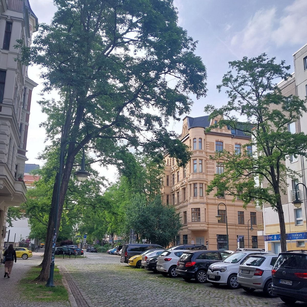 Pflasterstraße mit geparkten Autos und Altbau.