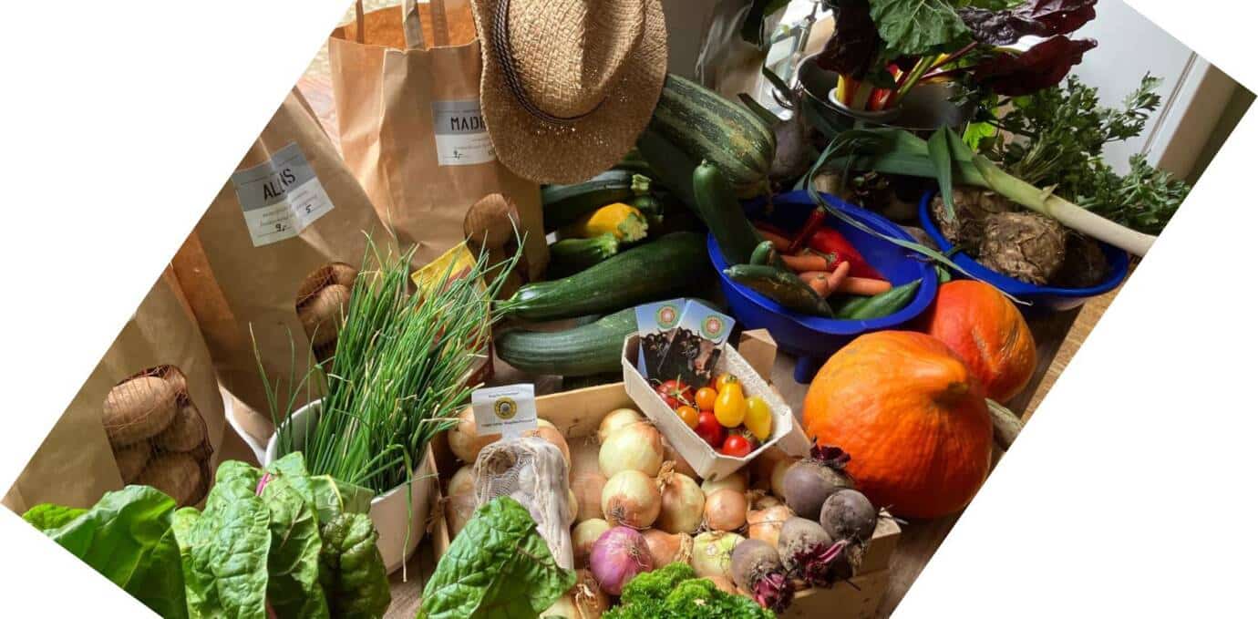 Frisches Gemüse und Kräuter auf einem Tisch.