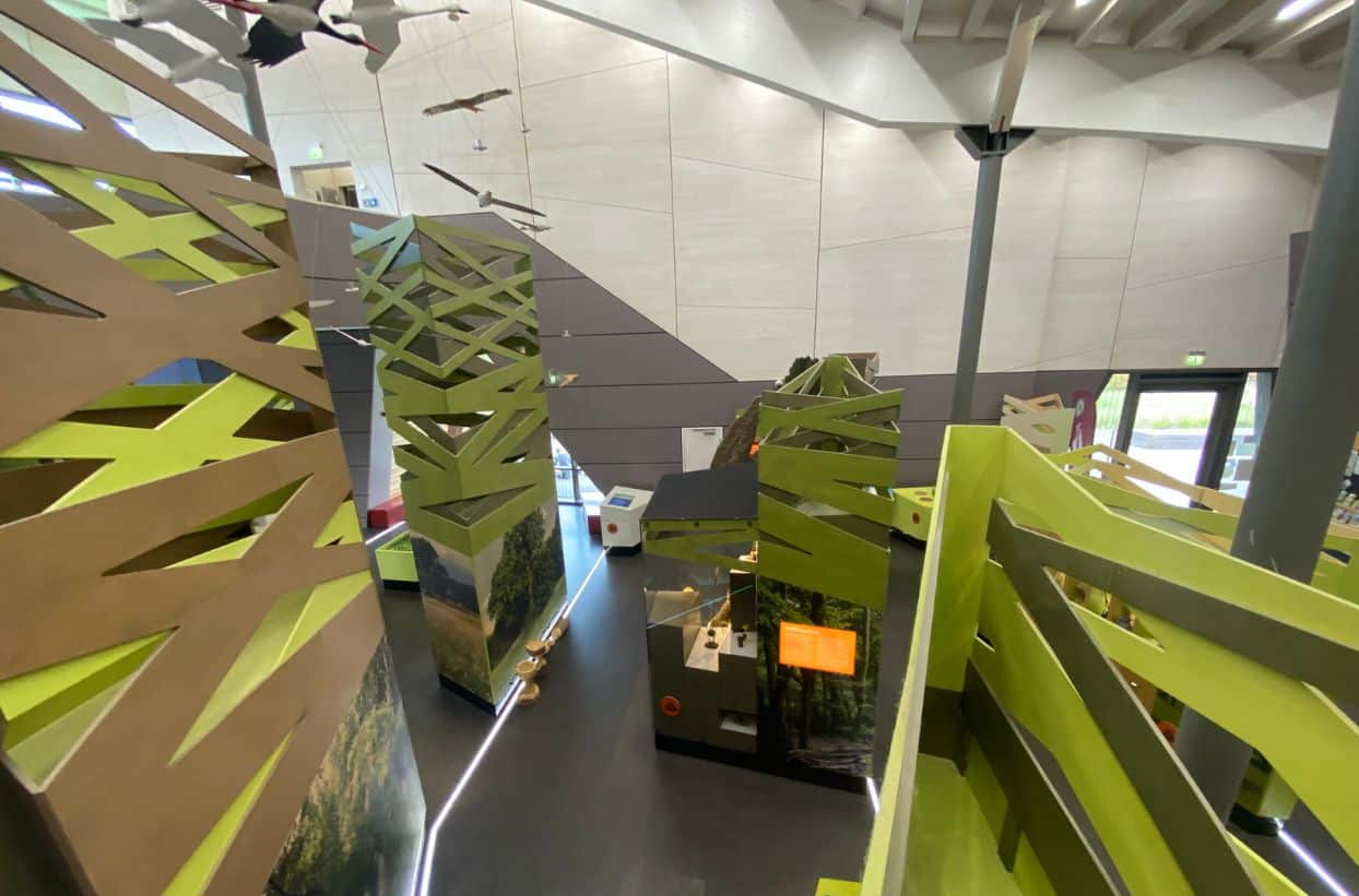 Moderne Ausstellung mit grünen Strukturen und Vögel-Modellen.